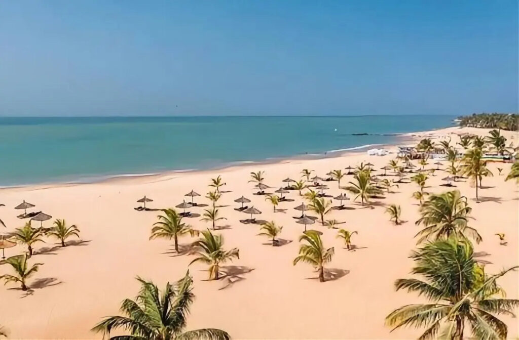 investir à Saly